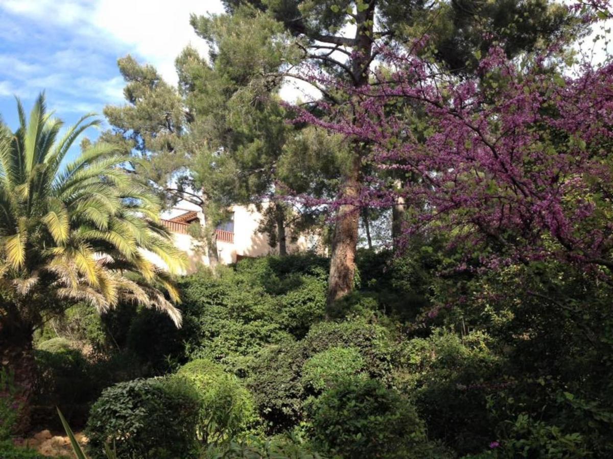 Studio 110 Grande Terrasse Proche Mer Bandol Exterior photo