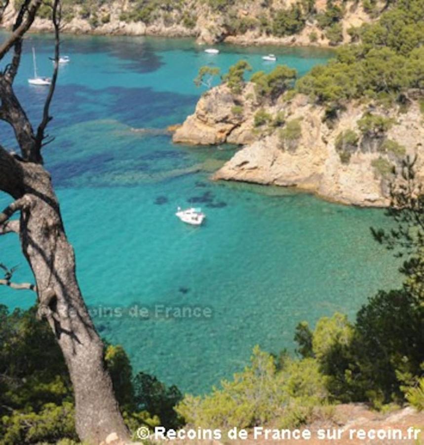 Studio 110 Grande Terrasse Proche Mer Bandol Exterior photo